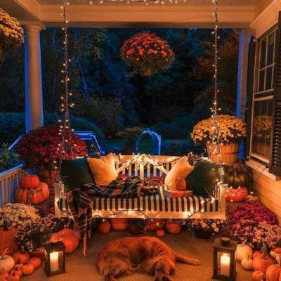 十一选五软件下载安装-登录入口